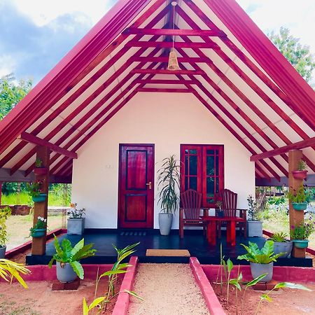 Sigiri Enaya Cottage 锡吉里亚 外观 照片