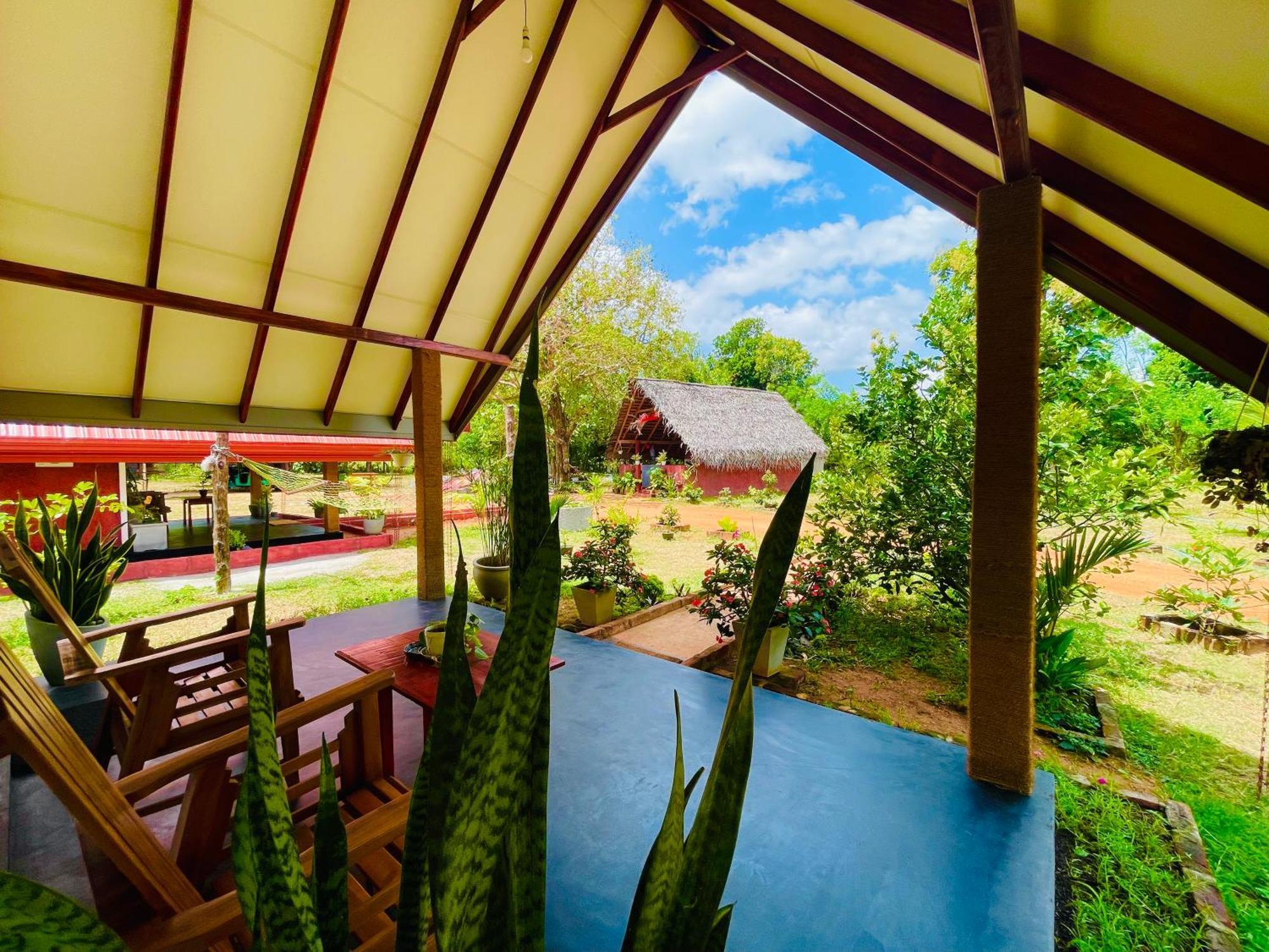 Sigiri Enaya Cottage 锡吉里亚 外观 照片