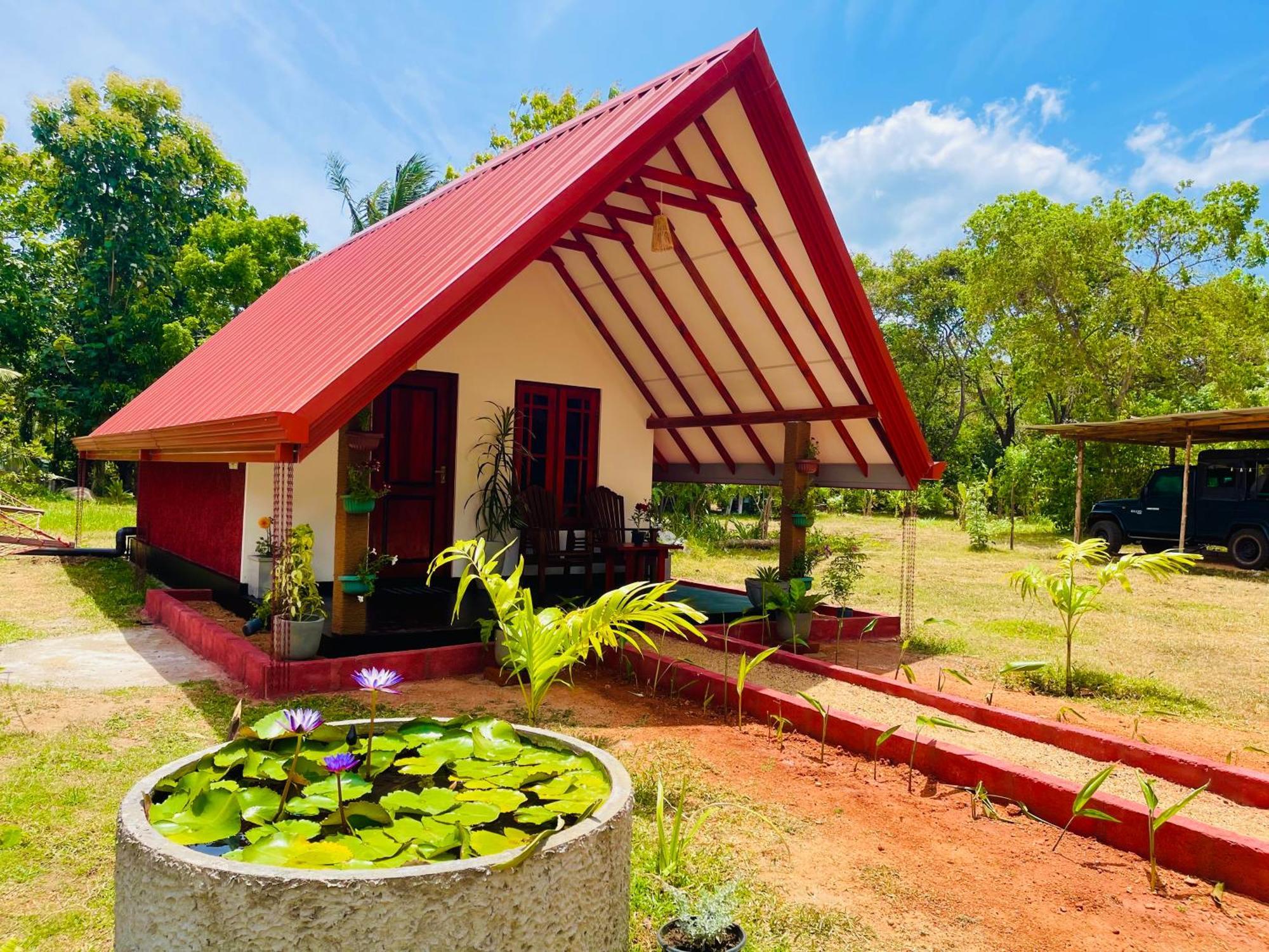 Sigiri Enaya Cottage 锡吉里亚 外观 照片