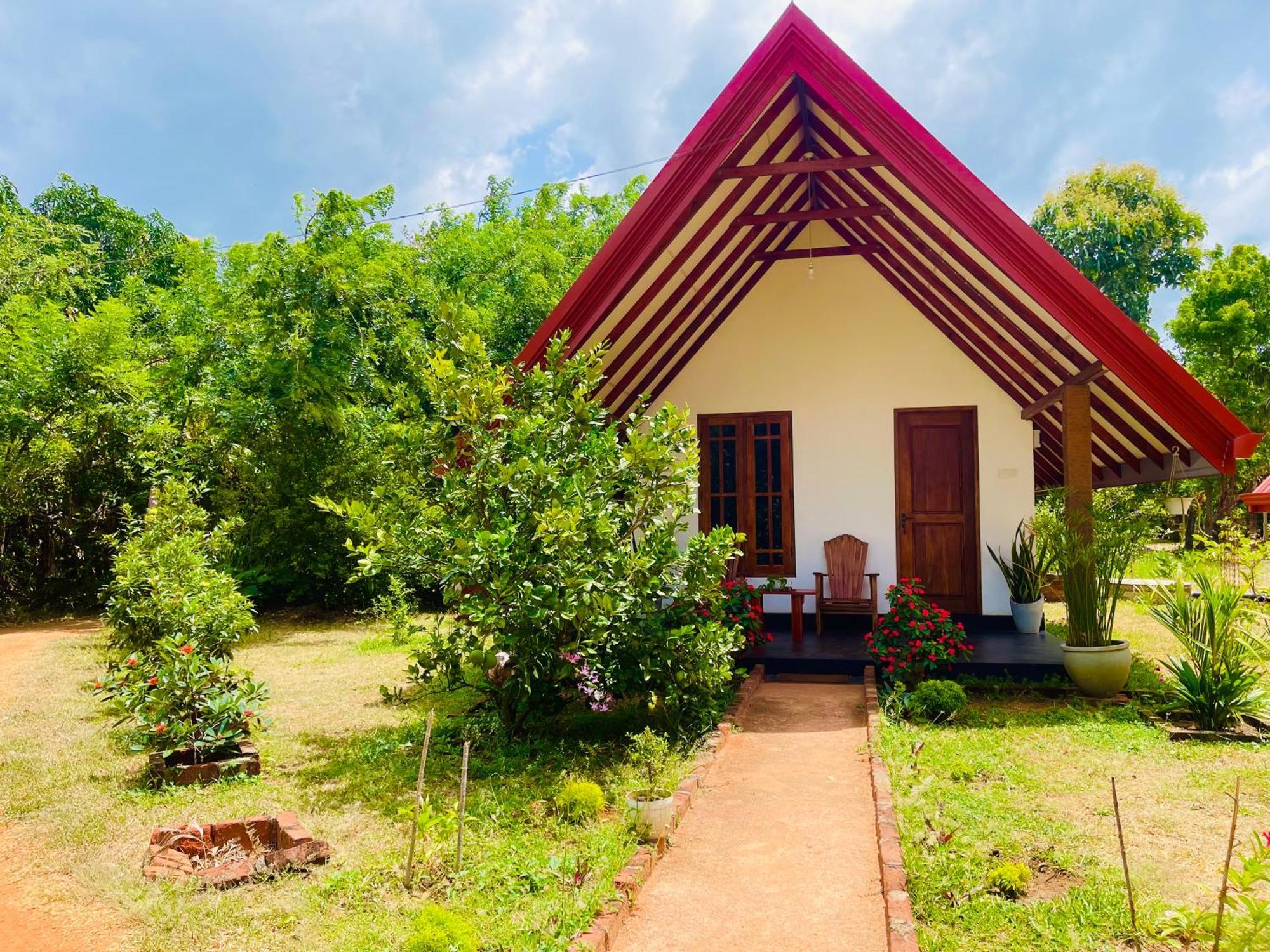 Sigiri Enaya Cottage 锡吉里亚 外观 照片
