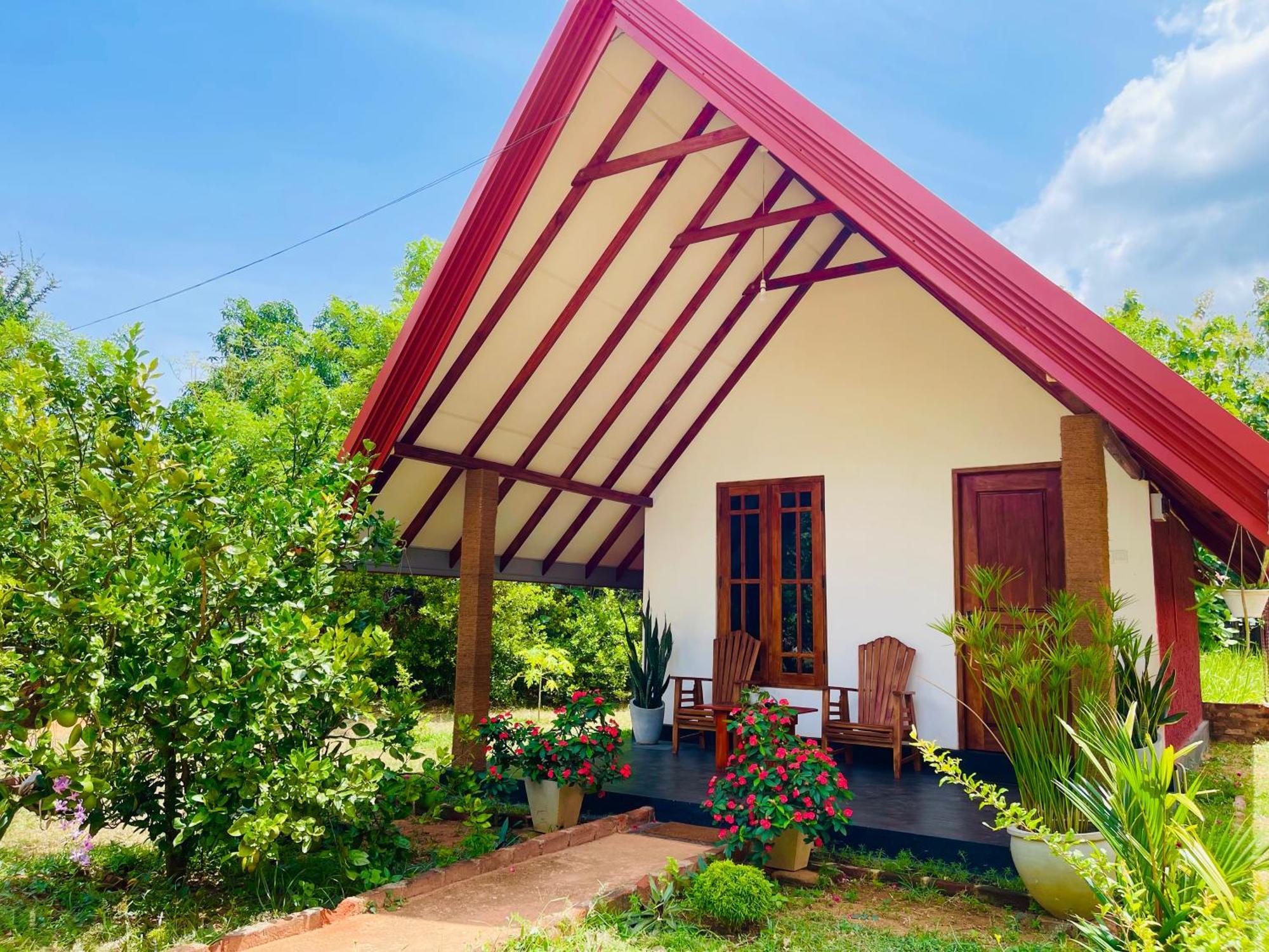Sigiri Enaya Cottage 锡吉里亚 外观 照片