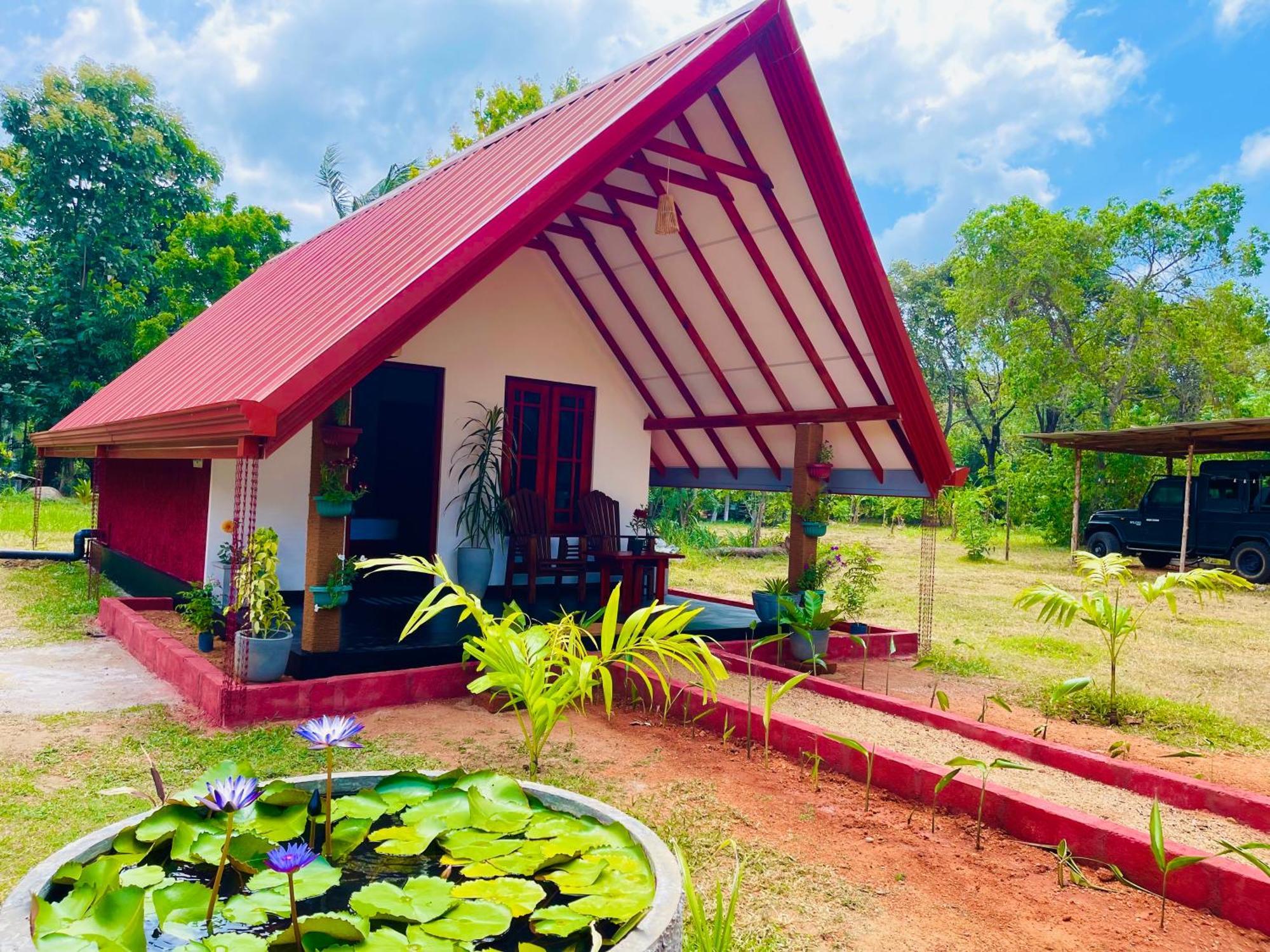Sigiri Enaya Cottage 锡吉里亚 外观 照片