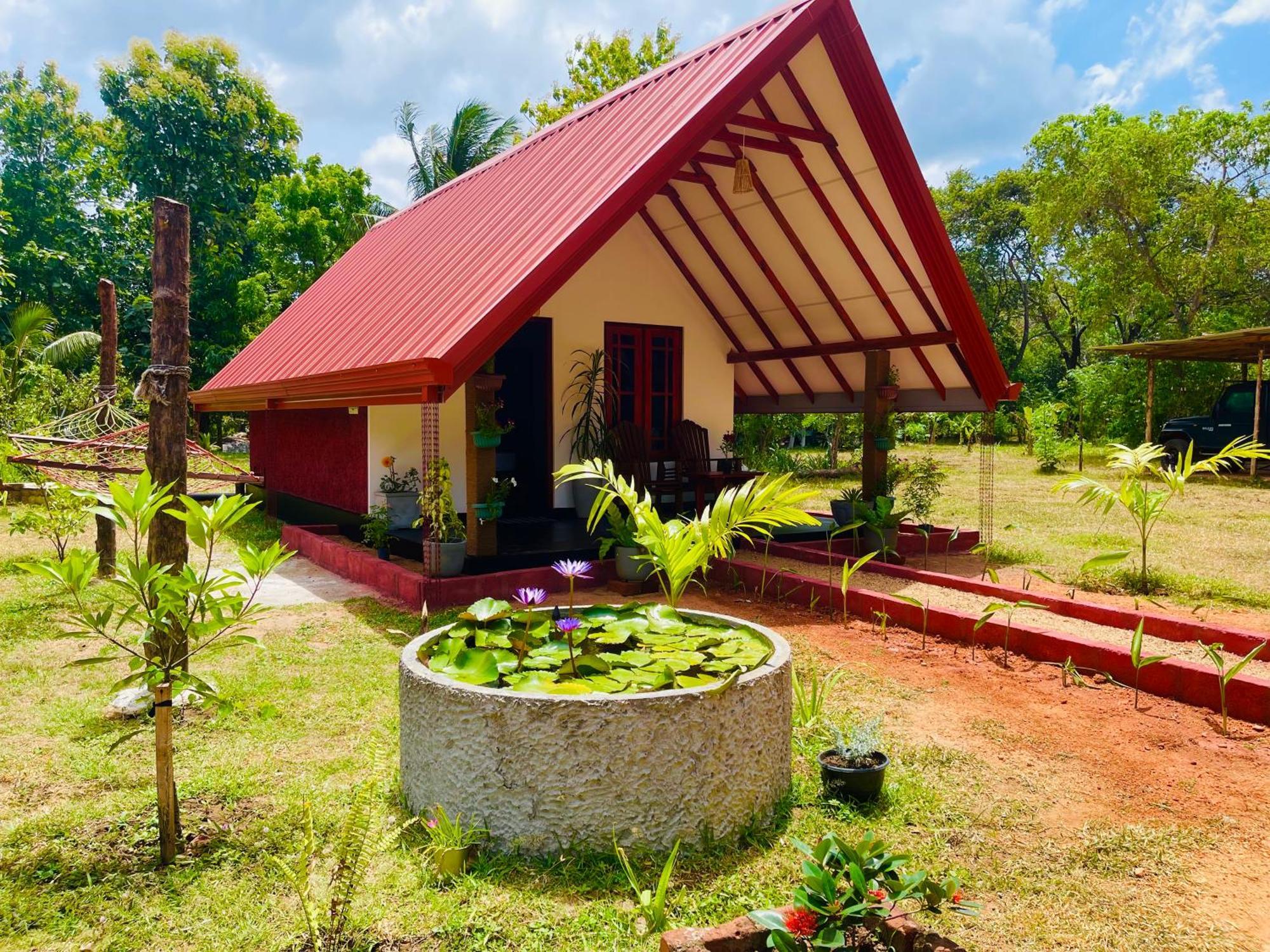 Sigiri Enaya Cottage 锡吉里亚 外观 照片