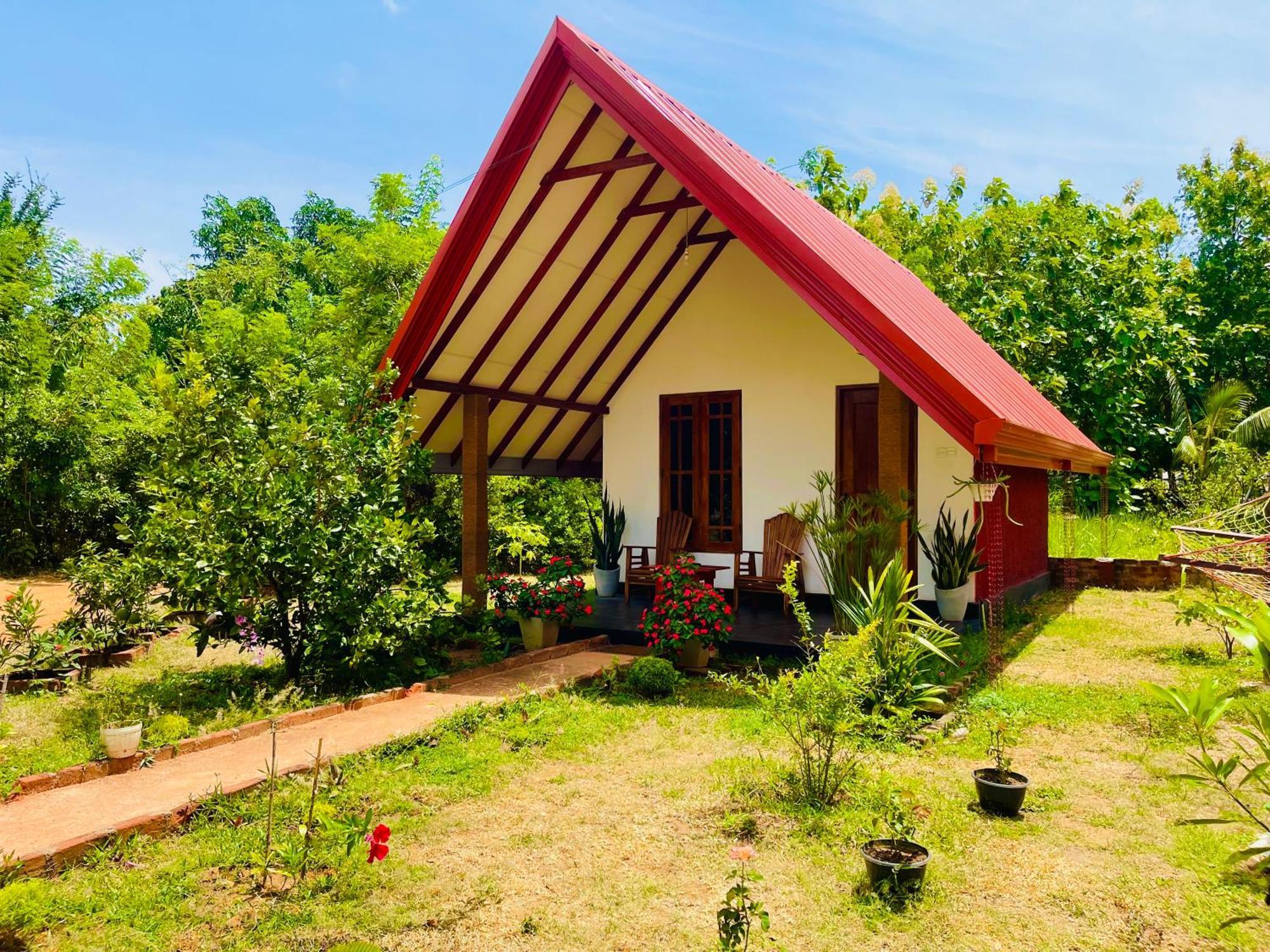 Sigiri Enaya Cottage 锡吉里亚 外观 照片