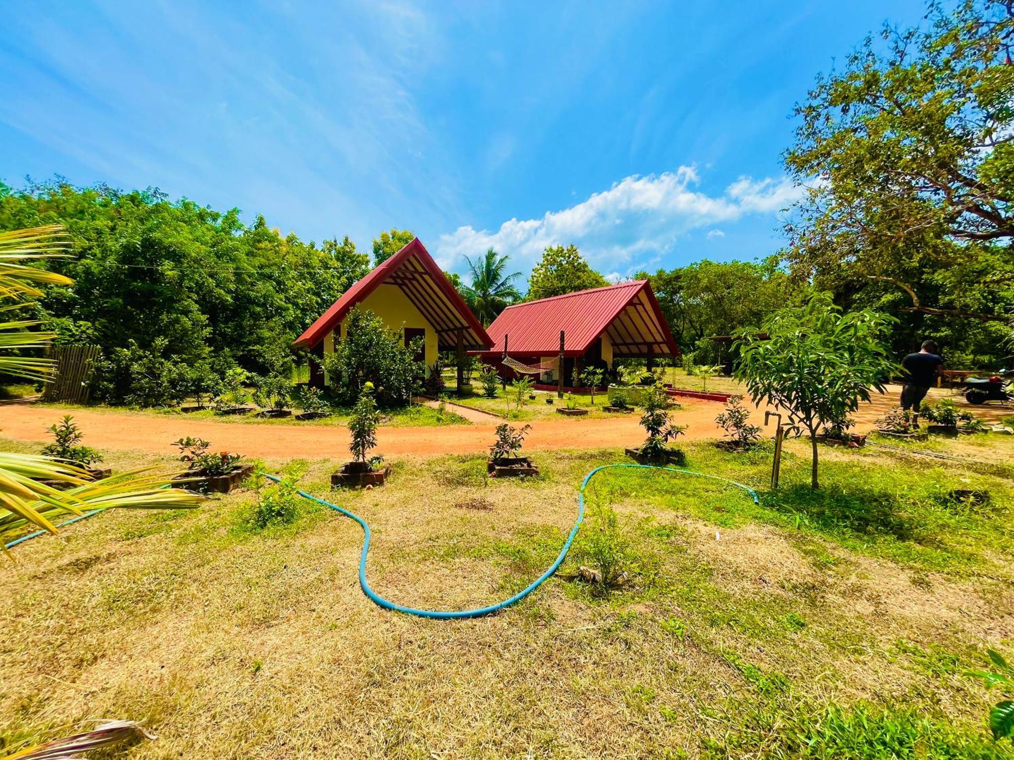 Sigiri Enaya Cottage 锡吉里亚 外观 照片