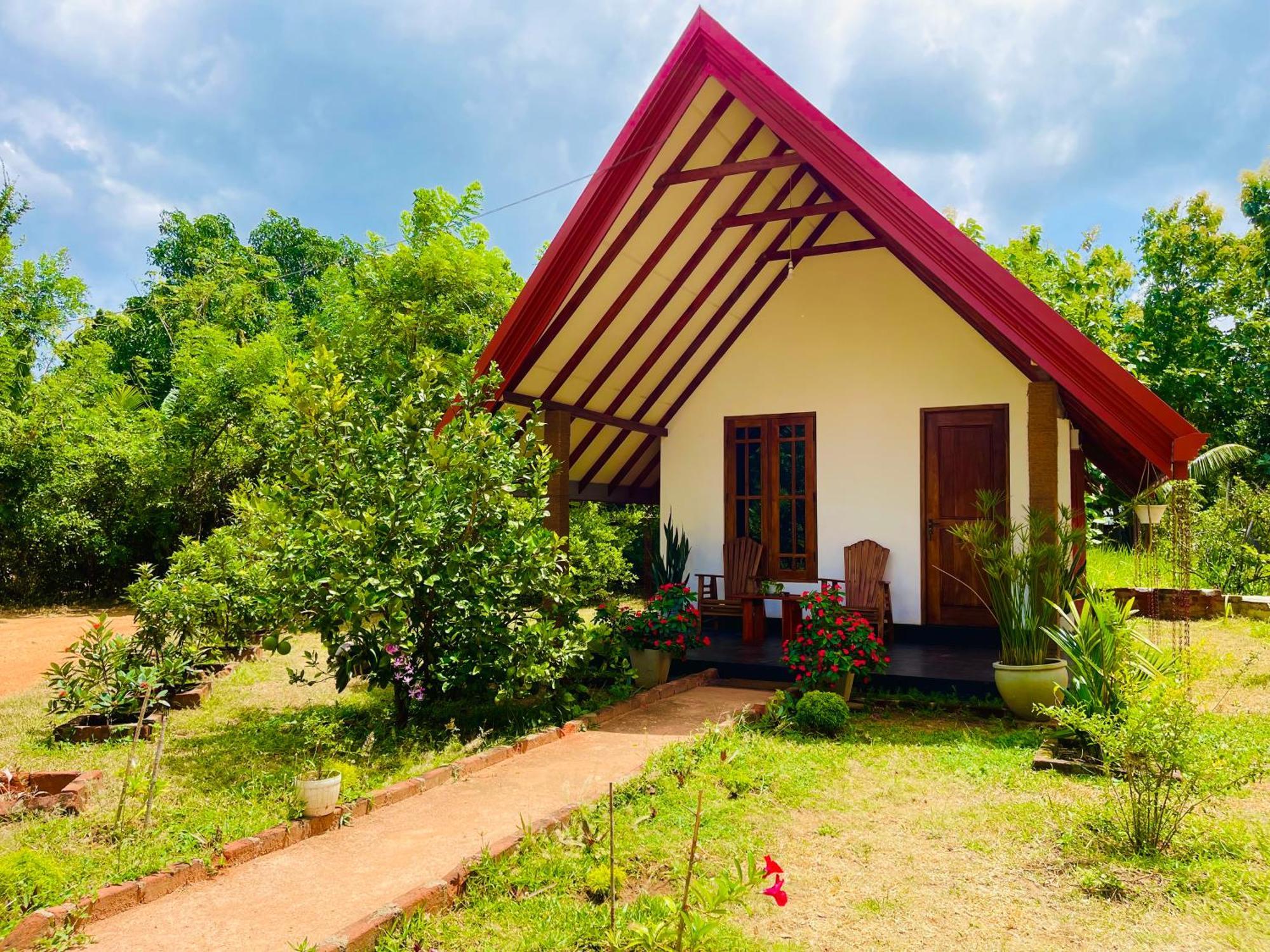 Sigiri Enaya Cottage 锡吉里亚 外观 照片